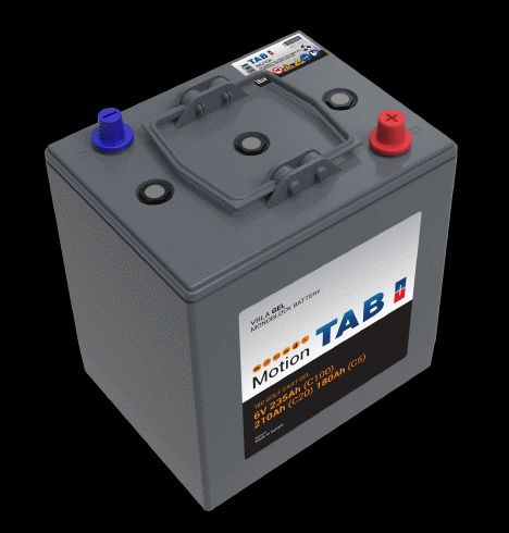 Nilfisk Batteria al gel monoblocco 6 V / 180 Ah